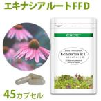 エキナシア根 FFD エコパック 45カプセル ◆ハーブサプリメント 花粉症 エキナセア ノラコーポレーション エクレクティック研究所