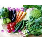 ショッピング野菜 春の四国エコ野菜いっぺん食べてんまい ７種類　春セット
