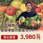  овощи набор свежий .. овощи комплект 15 товар Hyogo префектура производство 