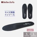 サイズ調整用 インソール 中敷き 消臭剤配合 靴 くつ ローファー ネコポス DIN10