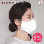 2枚入り マスク 日本製 ポケピタマスク Ag+ 抗菌 フィルターポケット付き 接触冷感 UVマスク MASK4