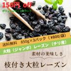 枝つきレーズン お試し大粒干し葡萄  2.5Kg （850g×３パック）　お得　干しぶどう チリ　ジャンボレーズン