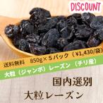 国内選別品 レーズン お試し大粒干し葡萄 4.2k（850g×５袋入） 干しぶどう チリ　ジャンボレーズン フレームレーズン
