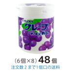 Yahoo! Yahoo!ショッピング(ヤフー ショッピング)グレープマーブルガムボトル 130ｇ 48個 大量買い マルカワ