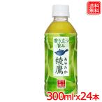 綾鷹 300mlPET ｘ24本 1ケ