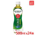 綾鷹 特選茶 PET 500ml ｘ