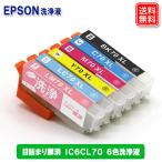エプソン IC6CL70L 6色 洗浄カートリッ