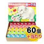 サンヨー製菓 モロッコ フルーツヨーグル 1箱(60個＋当たり分入り) 駄菓子