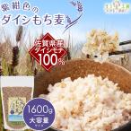 リフ工房 もち麦 国産 ダイシモチ 佐賀県産100% 紫紺色のダイシもち麦 1600g もちむぎ 国産 もち 麦 麦飯 麦ごはん 麦ご飯 チャック袋付き スタンドパック