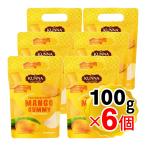 カンナ マンゴーグミ 100g×6個セット マハチャノ種マンゴー 動物性由来のゼラチン不使用 グミキャンディー お菓子 KUNNA