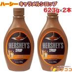 ショッピング在庫処分セール中 （賞味期限2026/4/17までの為 在庫処分セール中）ハーシー キャラメルシロップ 623g×2本 HERSHEYS（※メール便/レターパック発送）