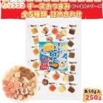 ショッピング在庫処分セール中 （賞味期限2026/2/26まで 在庫処分セール中）チーズおつまみ全5種類 詰め合わせ 個包装 1袋 各50g入 計250g（※メール便）