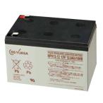 NPH12-12:GS Yuasa аккумулятор : внутренний стандартный товар ( маленький размер * высота cycle )[ час указание не возможно ][ оплата при получении не возможно ][ Okinawa * отдаленный остров * часть регион к рассылка не возможно ]