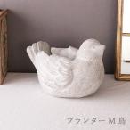  посадочная машина M модный птица дыра иметь ( колпак имеется ) цемент цветочный горшок горшок садоводство интерьер салон наружный 