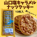 塩キャラメルナッツクッキー　小　10枚入　洋菓子　おいしい　プレゼント　おみやげ　ギフト　秋芳洞　秋吉台　おいしい　大人気　おやつ