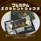  Yamaguchi premium excellent шоколад 12 шт шоколад конфеты кондитерские изделия подарок сувенир подарок осень .. осень . шт. ....