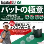 TABATA [tabata] накладка. высшее смысл GV-0138