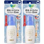 【まとめ買い】ロリエ ランジェリー泡洗剤 80ml×2セット (気になる下着の経血汚れやおりもの汚れに)