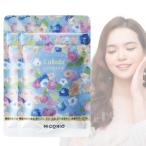 ラクビプレミアム サプリ 31粒 Lakubi premium ビフィズス菌 乳酸菌 インナーケア 2袋