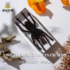 kmo* насекомое образец resin . входить красочный . дизайн маленький размер коллекция интерьер украшение Bird catching 11cm