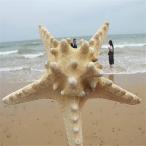  натуральный сухой hitote Star Fish украшение тропический пляж Thema интерьер 19- 20cm bread star