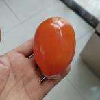  Takara gai раковина золотой kau Lee карта kau Lee белый кролик kau Lee Wong Kam po 7to8cm