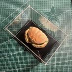  краб образец фоторамка конечный продукт 8- подлинный товар. краб производство коллекция интерьер украшение предмет 8-10cm crab acrylic