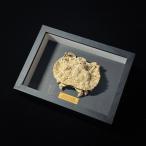  краб образец Aethra scruposa rectangular sizes / crab body 9cm more