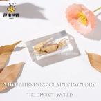  полимер . входить образец лобстер Thai do Club рак насекомое природа .. живое существо экспонирование для 7.3cm4.2cm 2.1cm-1