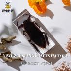  насекомое образец изделие прикладного искусства fasmato der roks вертикальный tigonitegelite resin производства living оборудование орнамент Gerridae 11cm