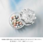 ¥ß¥é¥¯¥ë¥í¥Þ¥ó¥¹¡¡¥×¥ê¥Æ¥£¡¼¥¬¡¼¥Ç¥£¥¢¥ó¥º¥«¥é¡¼¥Ñ¥¦¥À¡¼