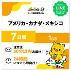 アメリカ カナダ メキシコ eSIM SIM SIMカード 7日間 1GB データ通信 プリペイドSIM イー!SIM