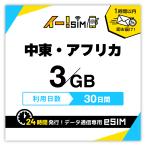 エジプト イスラエル ヨルダン クウェート モロッコ オマーン トルコ UAE eSIM SIM SIMカード 30日間 3GB イー!SIM