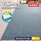 <Tajima> ковровая плитка tapis select Plus( номер образца :TSP-136) высокая прочность . грязный [ не использовался outlet ]1 кейс 