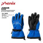  Phoenix phenixjuni ASCII перчатка снежные игры ESB24GL83 outlet 