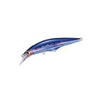 ジャクソン　Gコントロール 40g 青物直行パッケージ GNR 銀粉イワシ