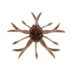 ジャッカル　キングジミーヘンジ グリーンパンプキンペッパー