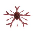 ジャッカル　キングジミーヘンジ スカッパノン