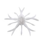 ジャッカル　キングジミーヘンジ ナチュラルパールホワイト