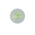  Gamakatsu RK002 камбала шерсть .. элемент Star волокно specification ke после желтый 