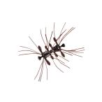 ダイワ　スティーズクアッドフォーゼ スカッパノン　爆買