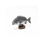 Yahoo! Yahoo!ショッピング(ヤフー ショッピング)フェバリット　アクアフィッシュミニモデル クロダイ