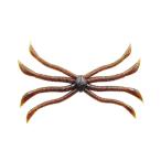 ザップ　オクトパス #01 マルハタグリパン