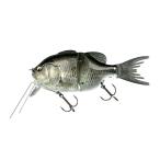 イマカツ　ギルロイドJr. DIVE 3Dリアリズム #642 寒鮒 銀