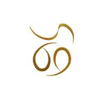 スタート　KN-15 シリコンネクタイカ