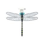  Sunline MSY......11cm