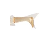 ¥·¥Þ¥Î¡¡ZW-119R ¥Ð¥ó¥¿¥à ¥Ó¡¼¥Æ¥£¡¼¥Õ¥©¡¼¥¹ ¥«¥¹¥¿¥à¥Ñ¡¼¥Ä¡Ê2¥öÆþ¡¢¥Ô¥ó4ËÜÆþ¡Ë 300 ¥·¥Ê¥â¥ó¥´¡¼¥ë¥É