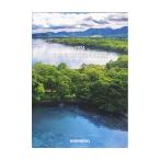  Shimano Shimano 2026 год объединенный каталог 