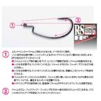 デコイ　RSフック ワーム101　#2
