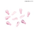 釣武者　Tバックオバネ　M　クリアピンク